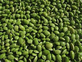 legumes-beans